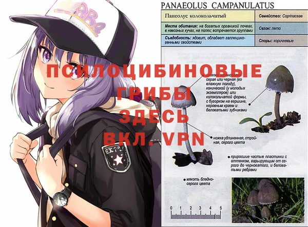 гидропоника Нягань