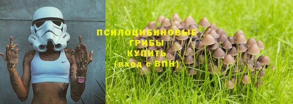 соль курить ск Нязепетровск