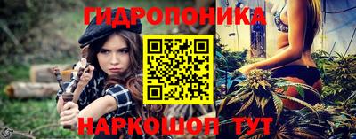 мяу мяу мука Гатчина