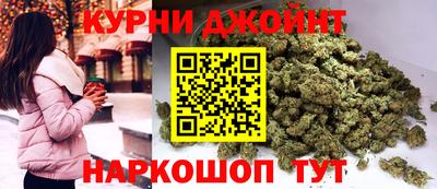 мяу мяу мука Гатчина