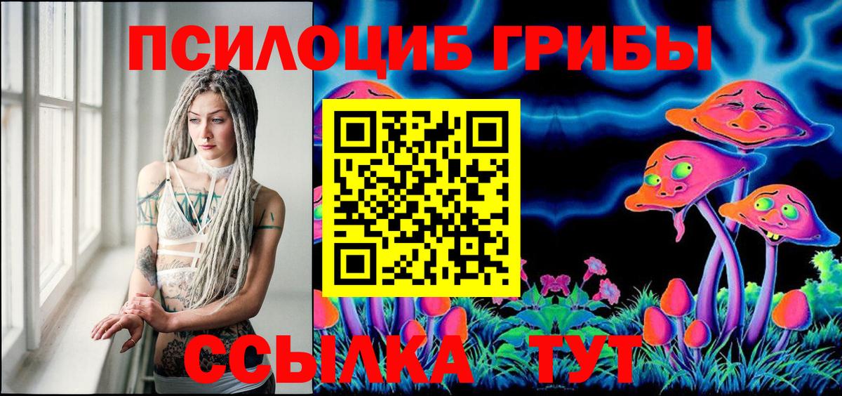Галлюциногенные грибы GOLDEN TEACHER Новозыбков