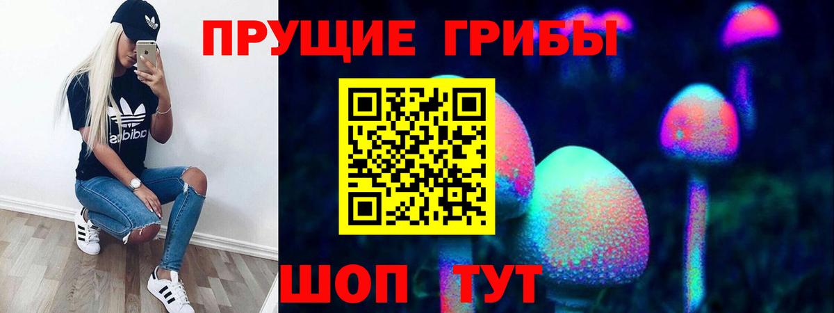 Псилоцибиновые грибы мухоморы  Вход с VPN  Новозыбков 
